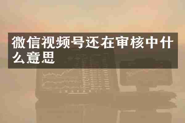 微信视频号还在审核中什么意思