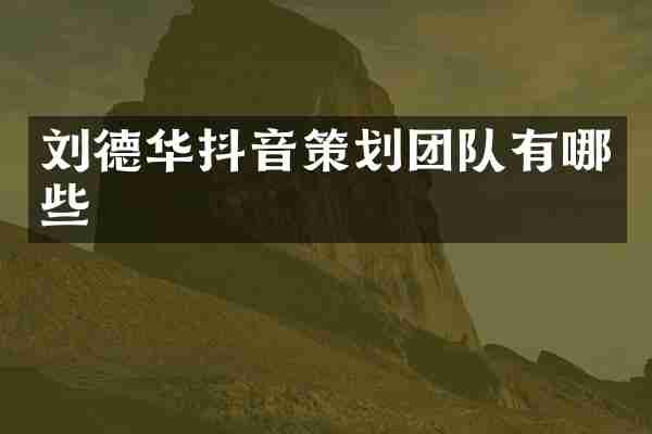 刘德华抖音策划团队有哪些