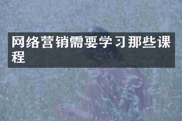 网络营销需要学习那些课程