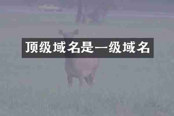 顶级域名是一级域名