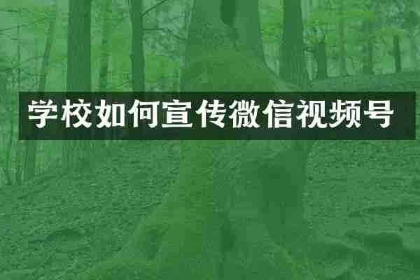 学校如何宣传微信视频号
