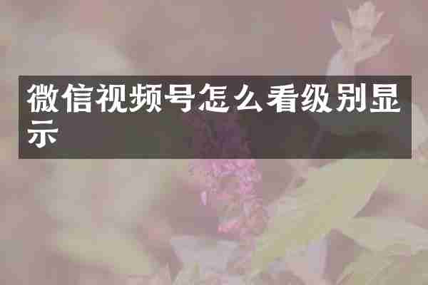 微信视频号怎么看级别显示