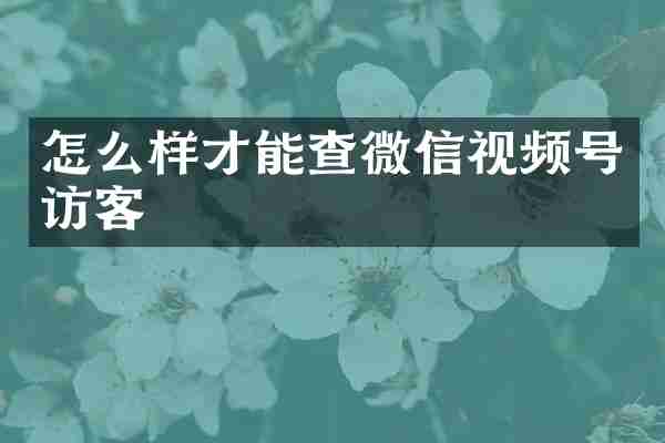 怎么样才能查微信视频号访客
