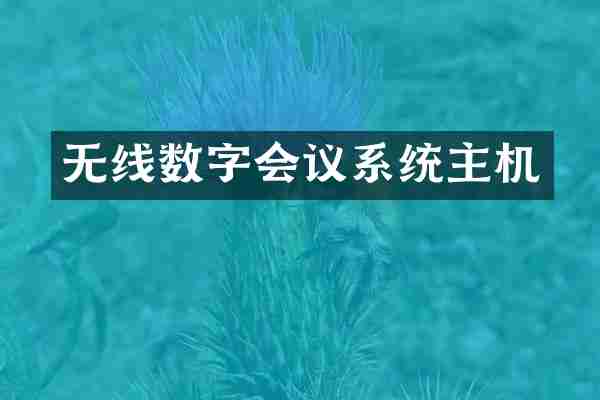 无线数字会议系统主机