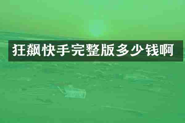 狂飙快手完整版多少钱啊