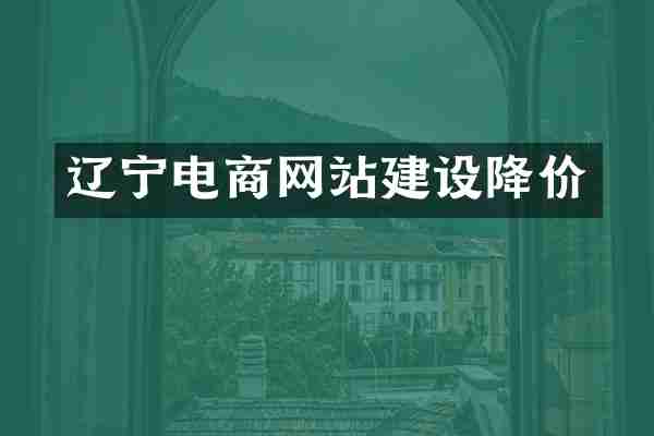 辽宁电商网站建设降价