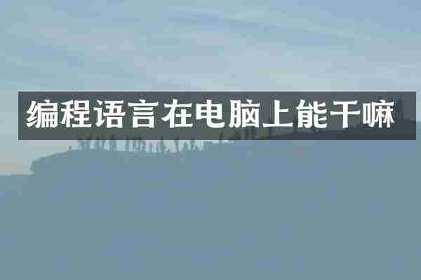 编程语言在电脑上能干嘛
