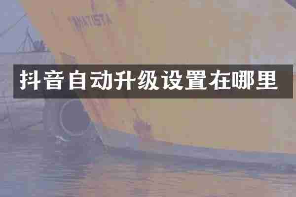 抖音自动升级设置在哪里