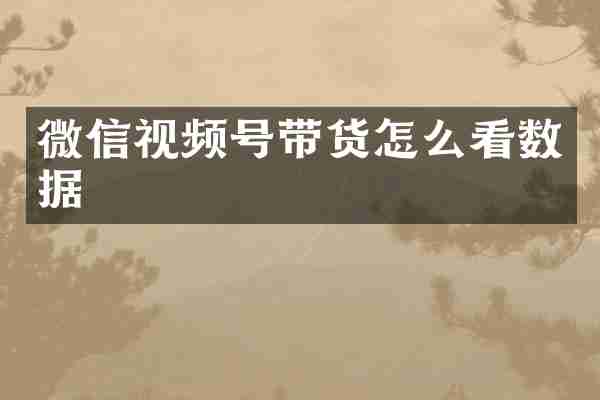 微信视频号带货怎么看数据