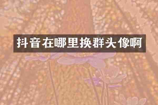 抖音在哪里换群头像啊