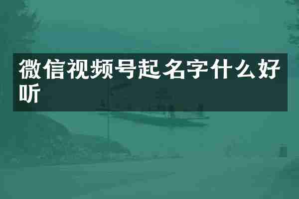 微信视频号起名字什么好听