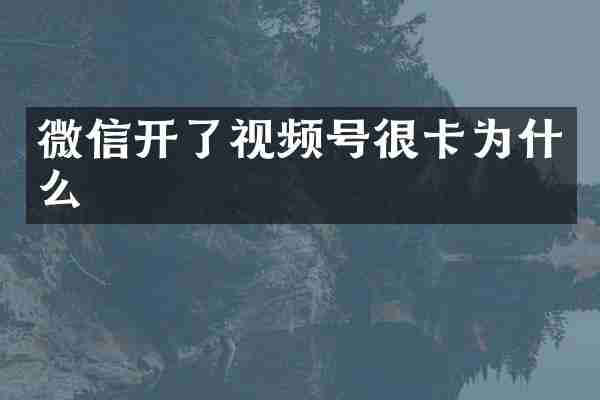 微信开了视频号很卡为什么