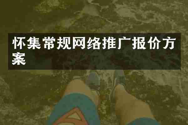 怀集常规网络推广报价方案