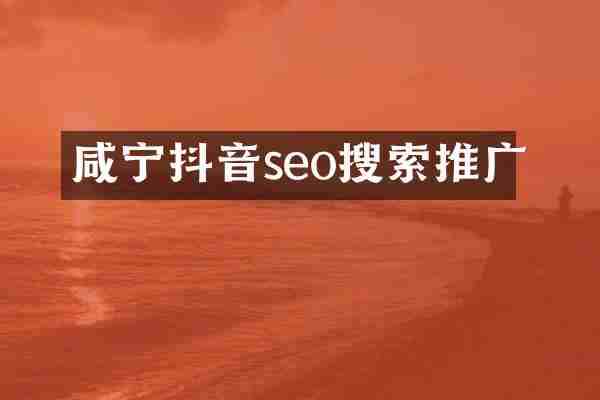 咸宁抖音seo搜索推广