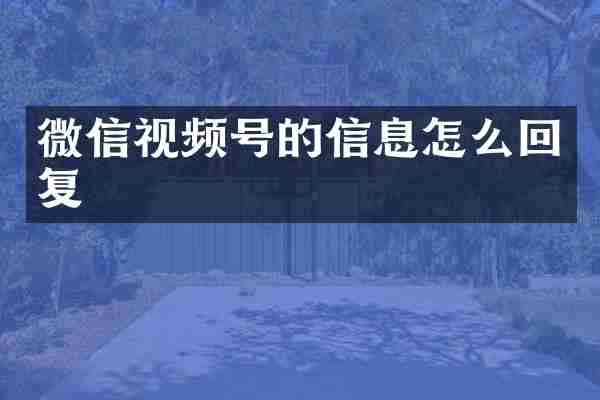 微信视频号的信息怎么回复
