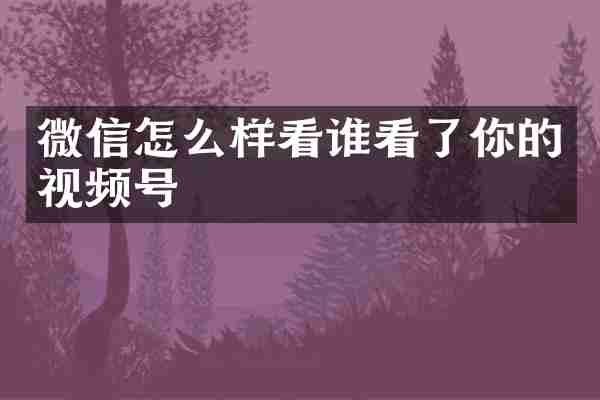 微信怎么样看谁看了你的视频号