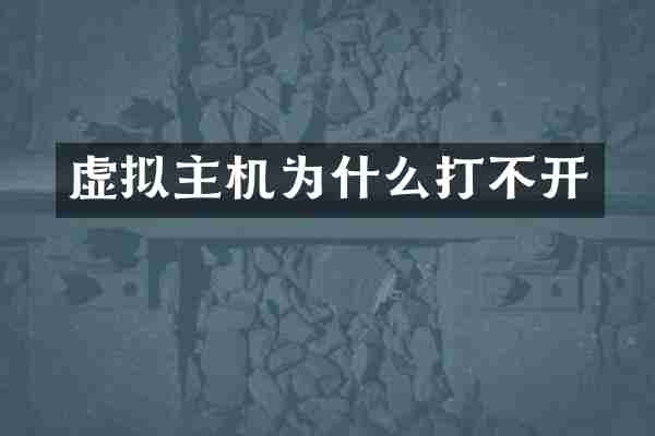 虚拟主机为什么打不开