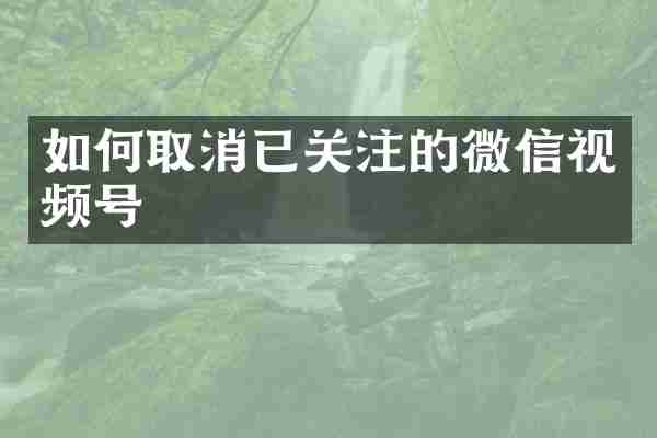如何取消已关注的微信视频号