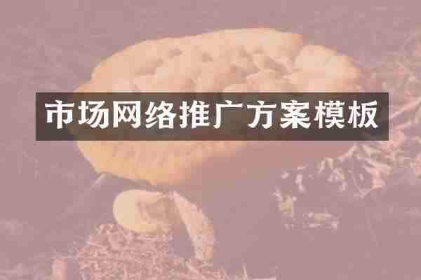 市场网络推广方案模板