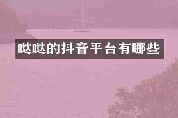 哒哒的抖音平台有哪些