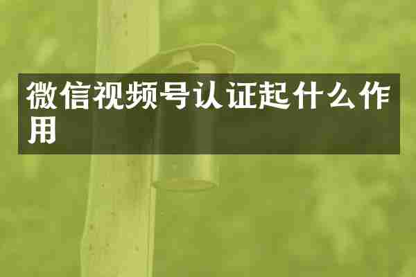 微信视频号认证起什么作用