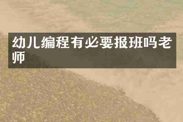 幼儿编程有必要报班吗老师