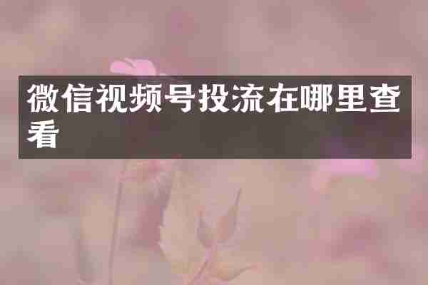 微信视频号投流在哪里查看
