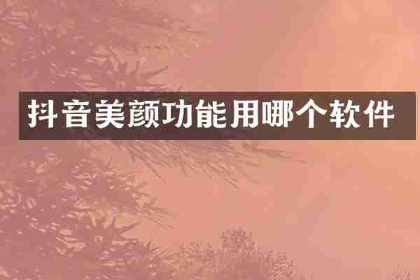 抖音美颜功能用哪个软件