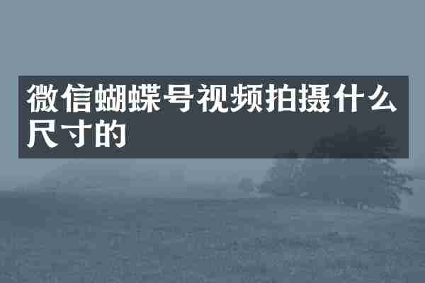 微信蝴蝶号视频拍摄什么尺寸的
