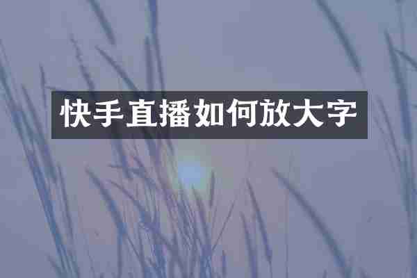 快手直播如何放大字