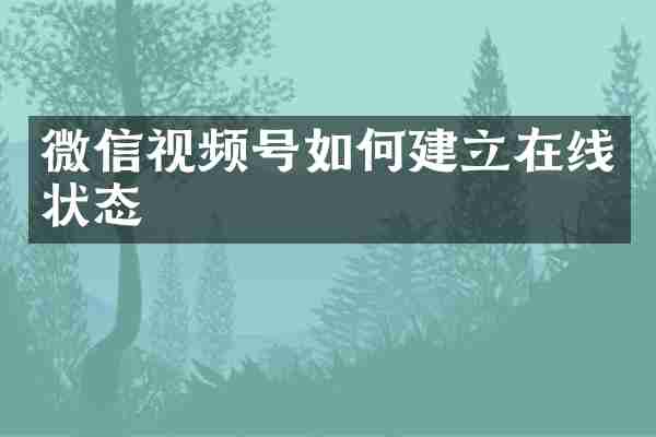 微信视频号如何建立在线状态