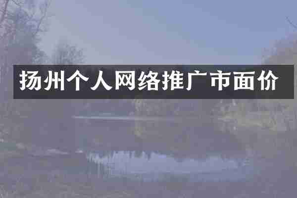 扬州个人网络推广市面价