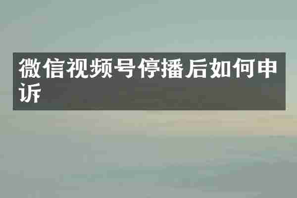 微信视频号停播后如何申诉