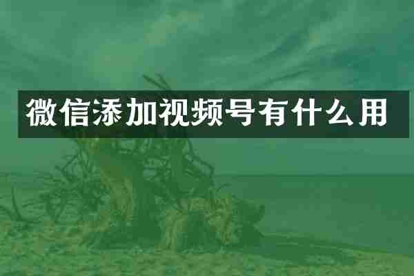 微信添加视频号有什么用