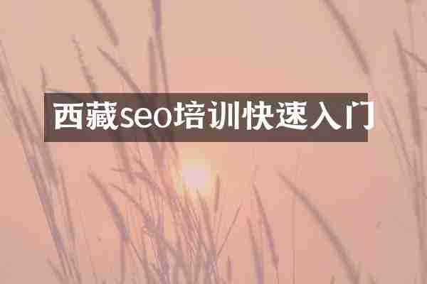 西藏seo培训快速入门