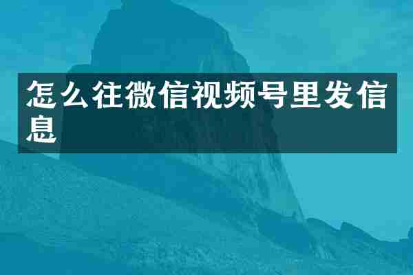 怎么往微信视频号里发信息