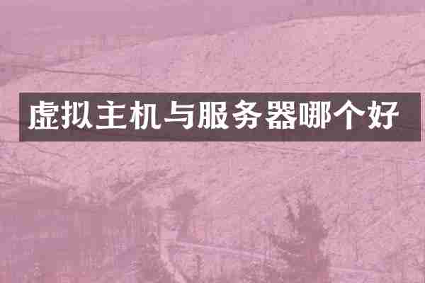 虚拟主机与服务器哪个好