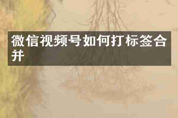 微信视频号如何打标签合并