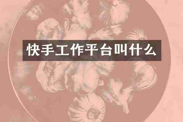快手工作平台叫什么