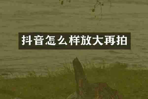 抖音怎么样放大再拍