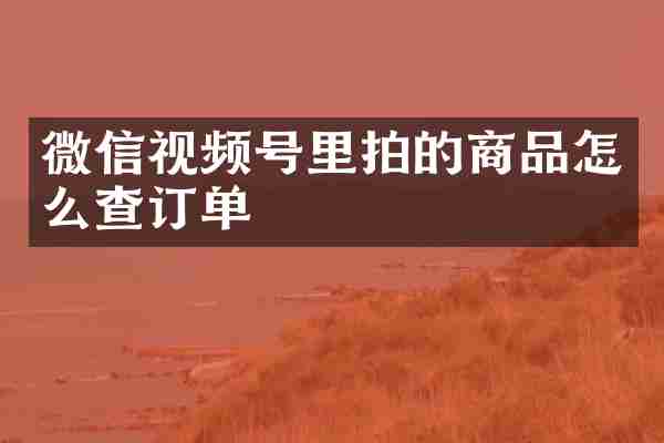 微信视频号里拍的商品怎么查订单