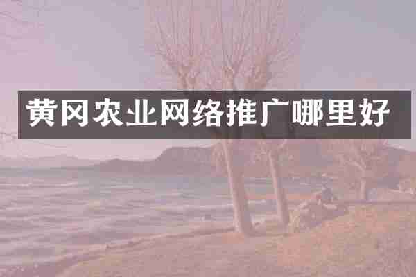 黄冈农业网络推广哪里好