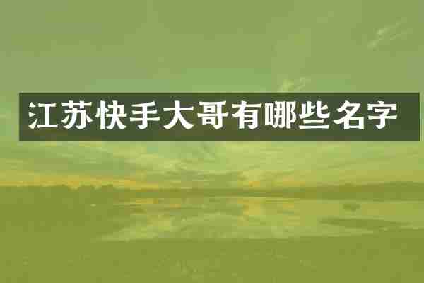 江苏快手大哥有哪些名字