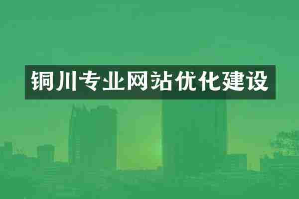 铜川专业网站优化建设