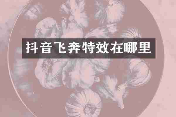 抖音飞奔特效在哪里