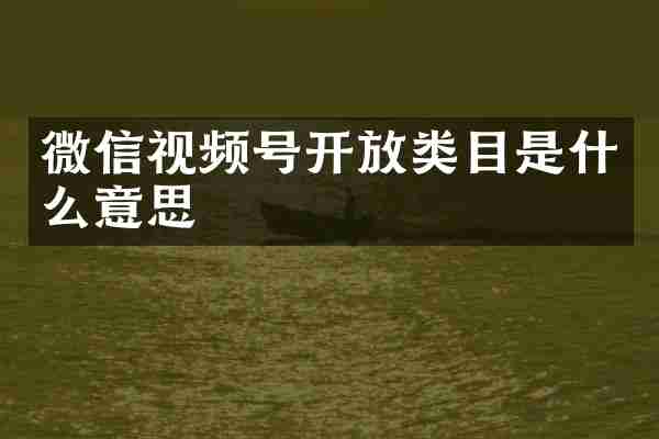微信视频号开放类目是什么意思