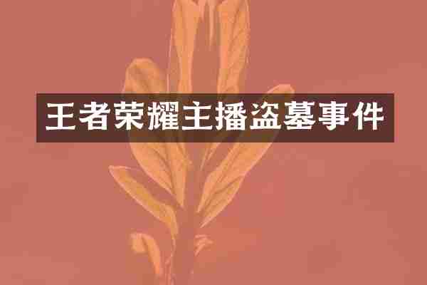 王者荣耀主播盗墓事件