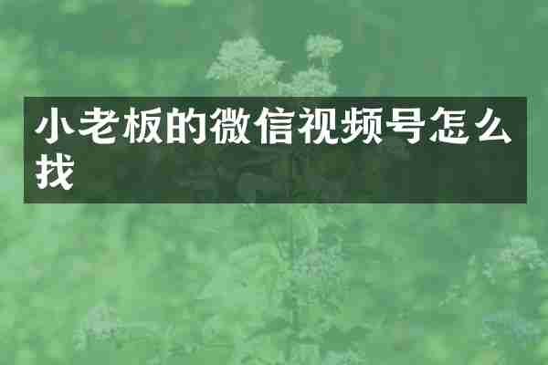 小老板的微信视频号怎么找