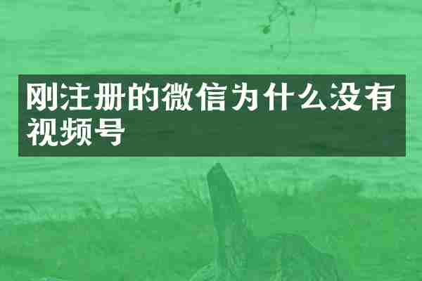 刚注册的微信为什么没有视频号