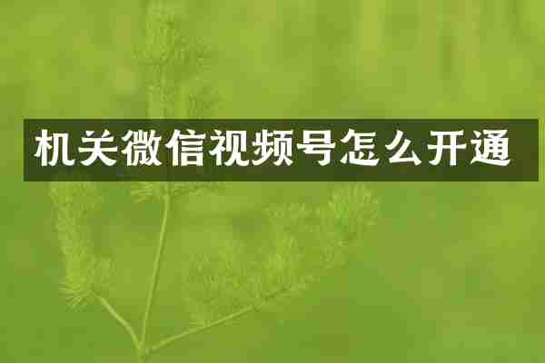 机关微信视频号怎么开通
